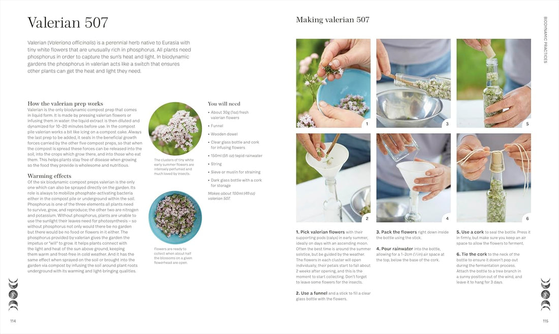 Biodynamic Gardening