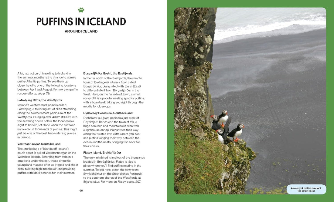 Intrepid Iceland