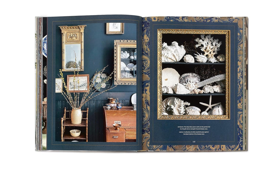 Sean Scherer's Vignettes