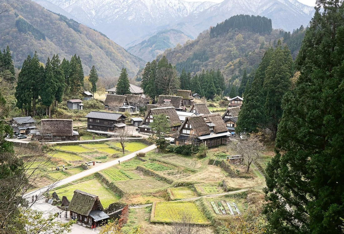 Sake, The Art and Craft of Japan's National Drink