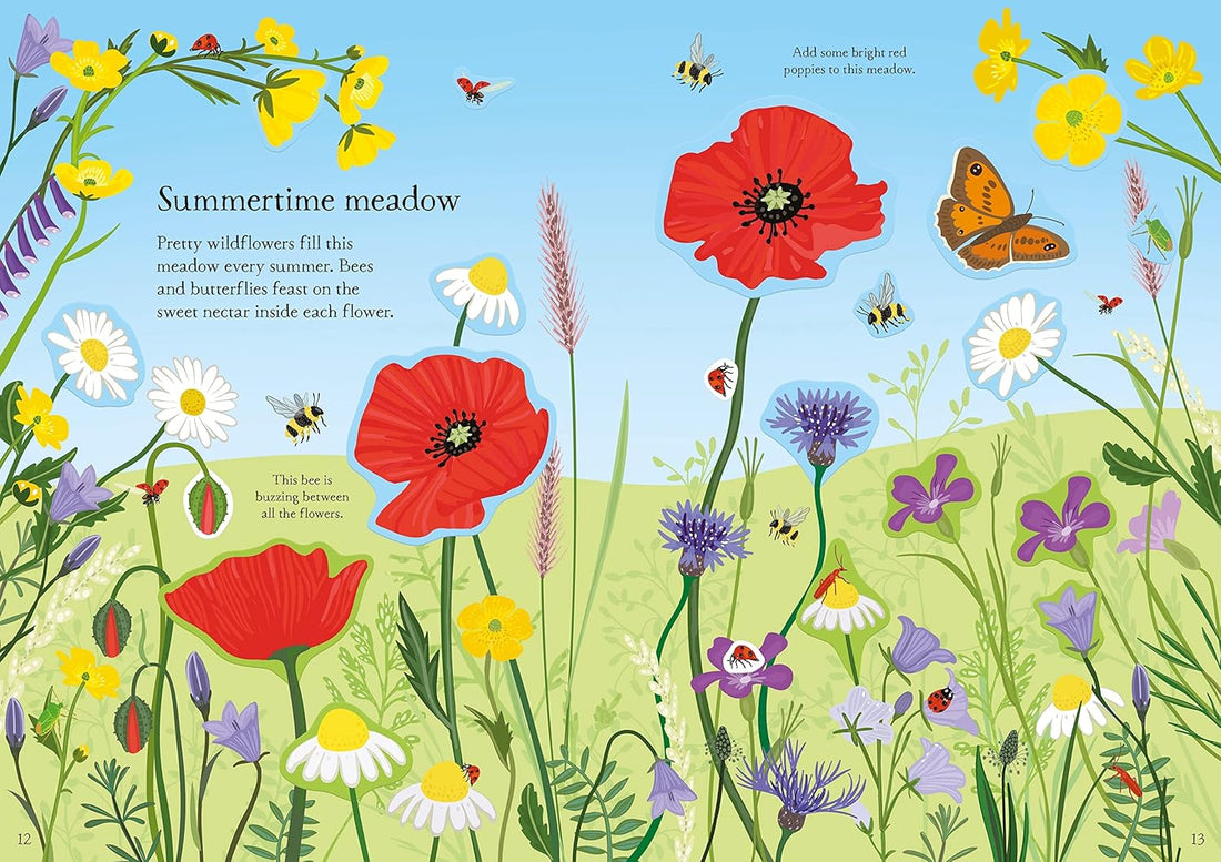 Little First Stickers Wildflowers