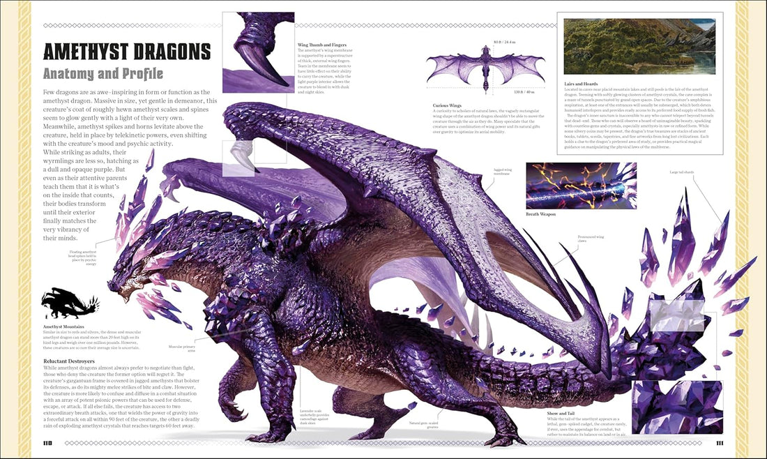 Dungeons & Dragons The Book of Dragons