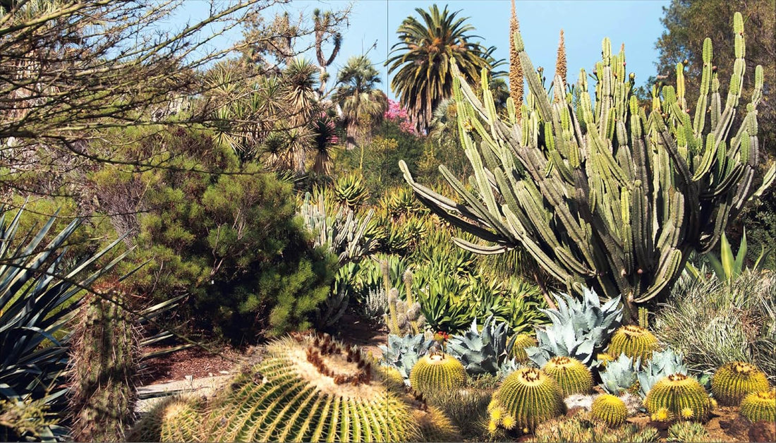 Gardens That Can Save the World - Lottie Delamain
