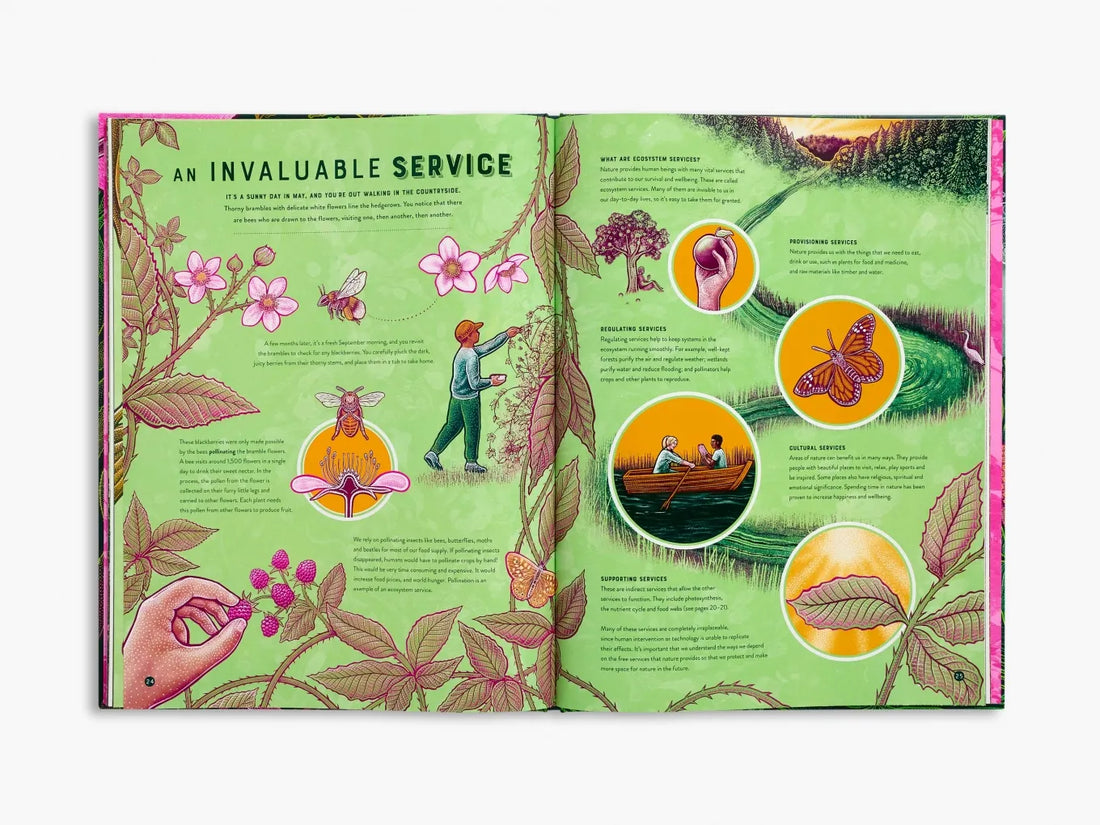 Life: The wild wonders of biodiversity