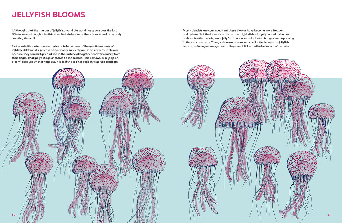 The Jellyfish Garden