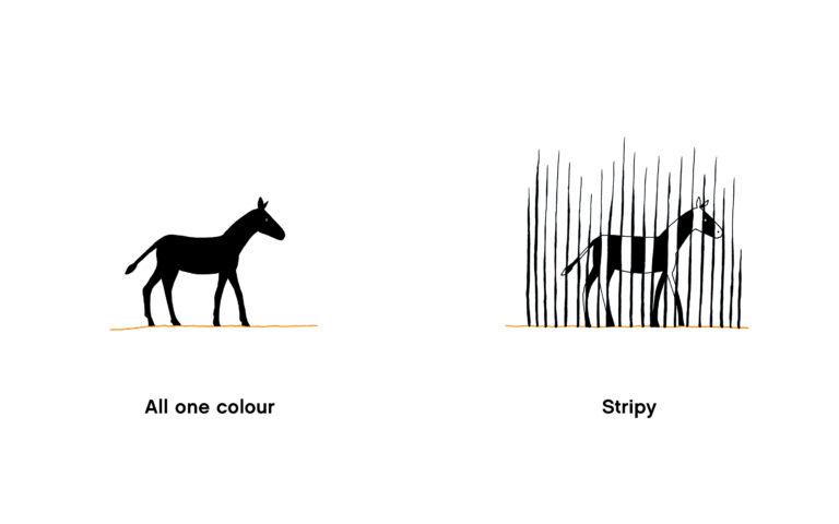 Big, Little, A Book of Opposites