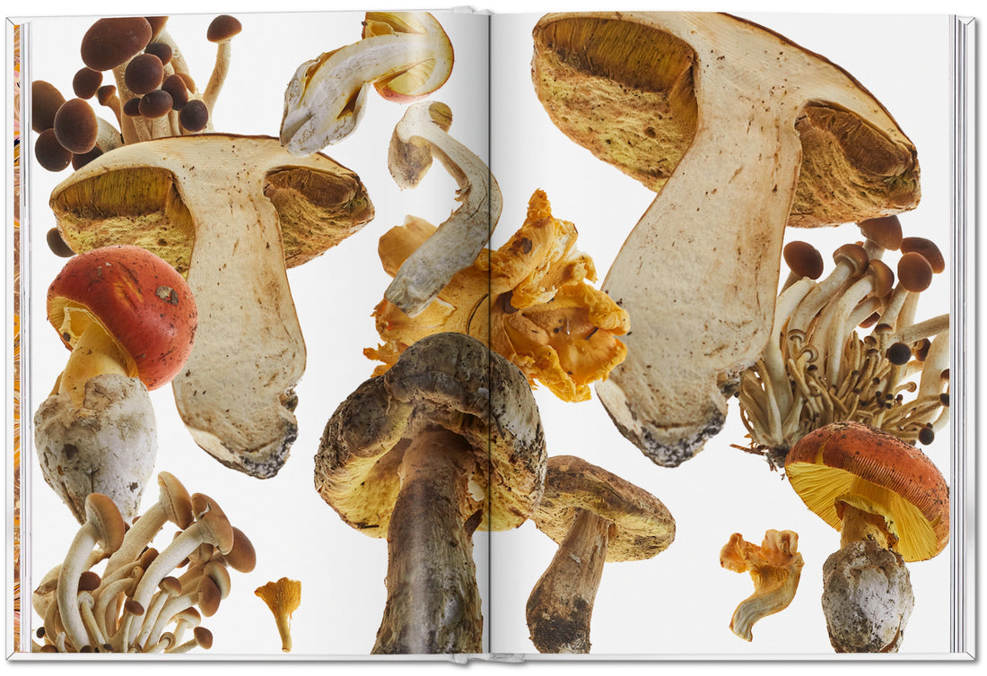 Gourmands Mushroom. A Collection of Stories & Recipes