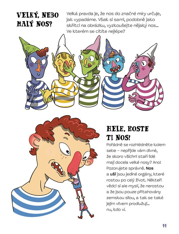 Od hlavy až k patě