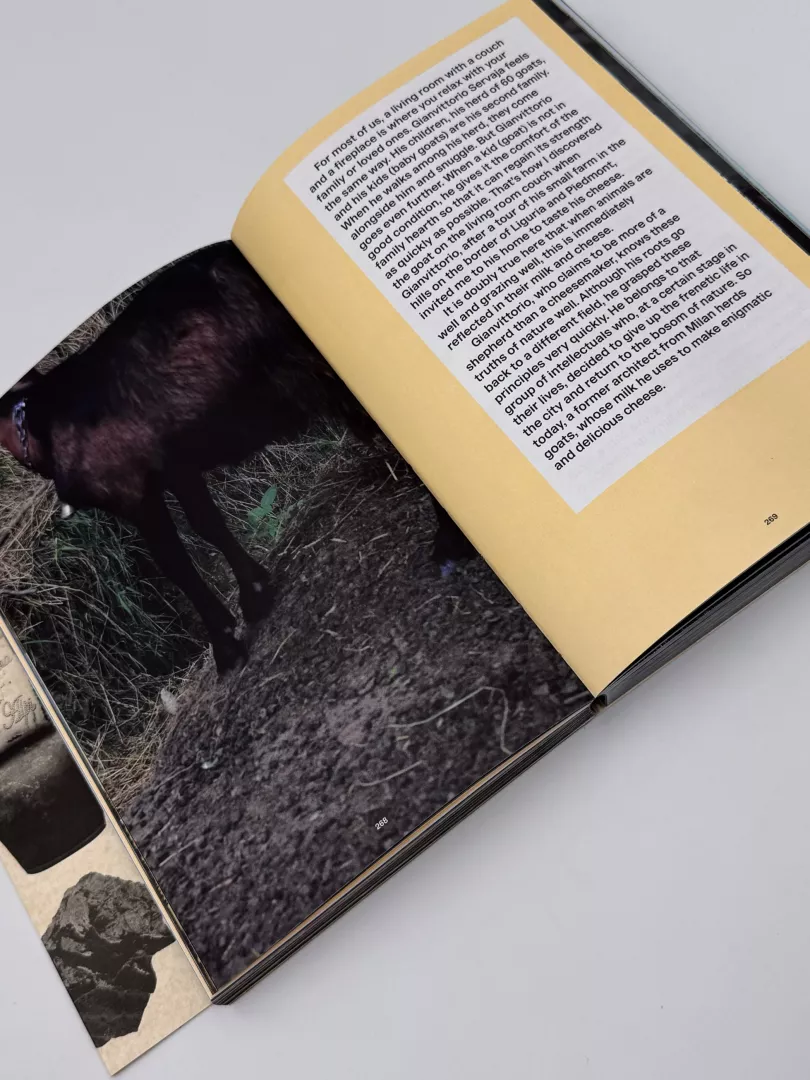 Manifesto of Noble Cheese