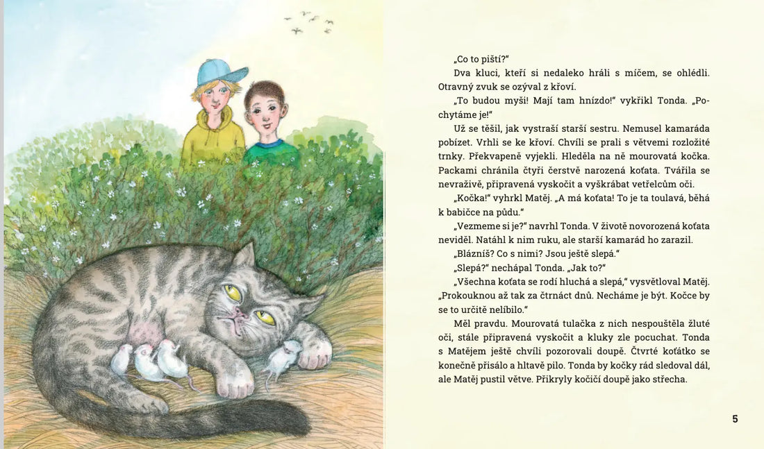 Bibi a Bruno - Petra Braunová