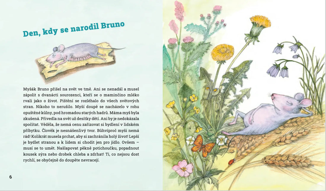 Bibi a Bruno - Petra Braunová