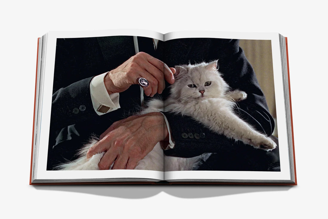 Chic Cats