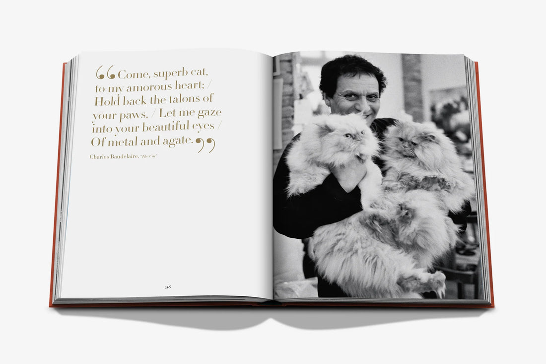 Chic Cats