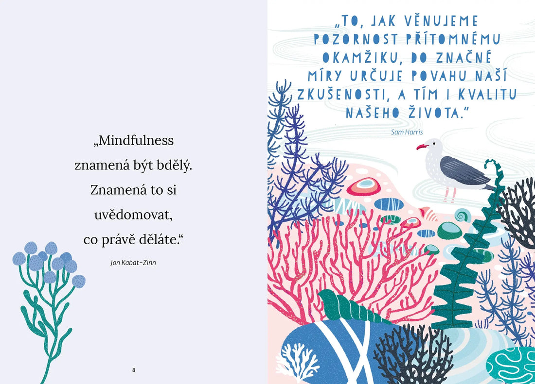 Cesta k mindfulness