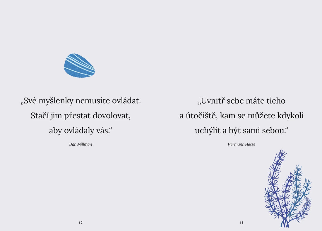 Cesta k mindfulness