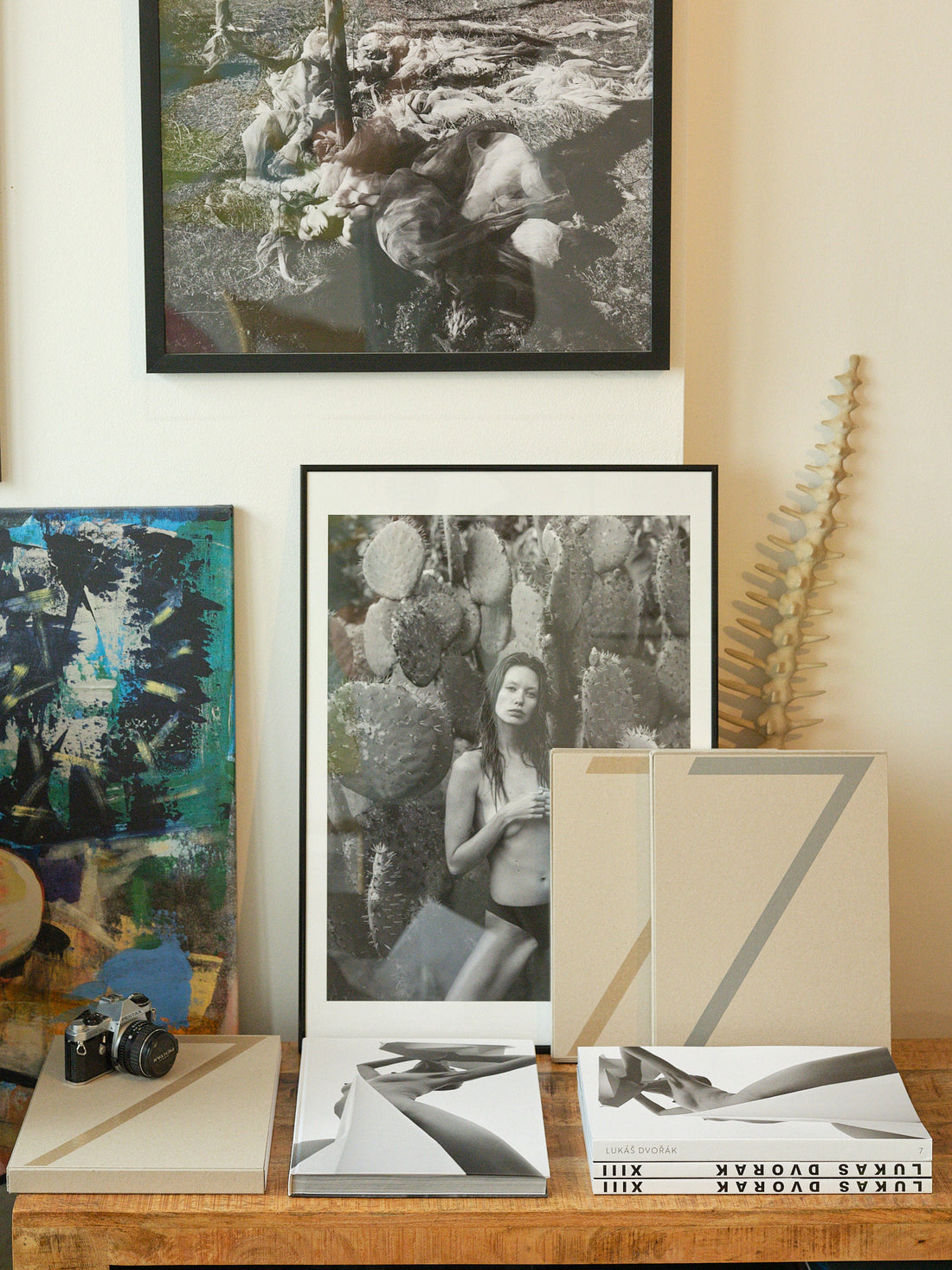 Lukas Dvorak 7 Standard edition