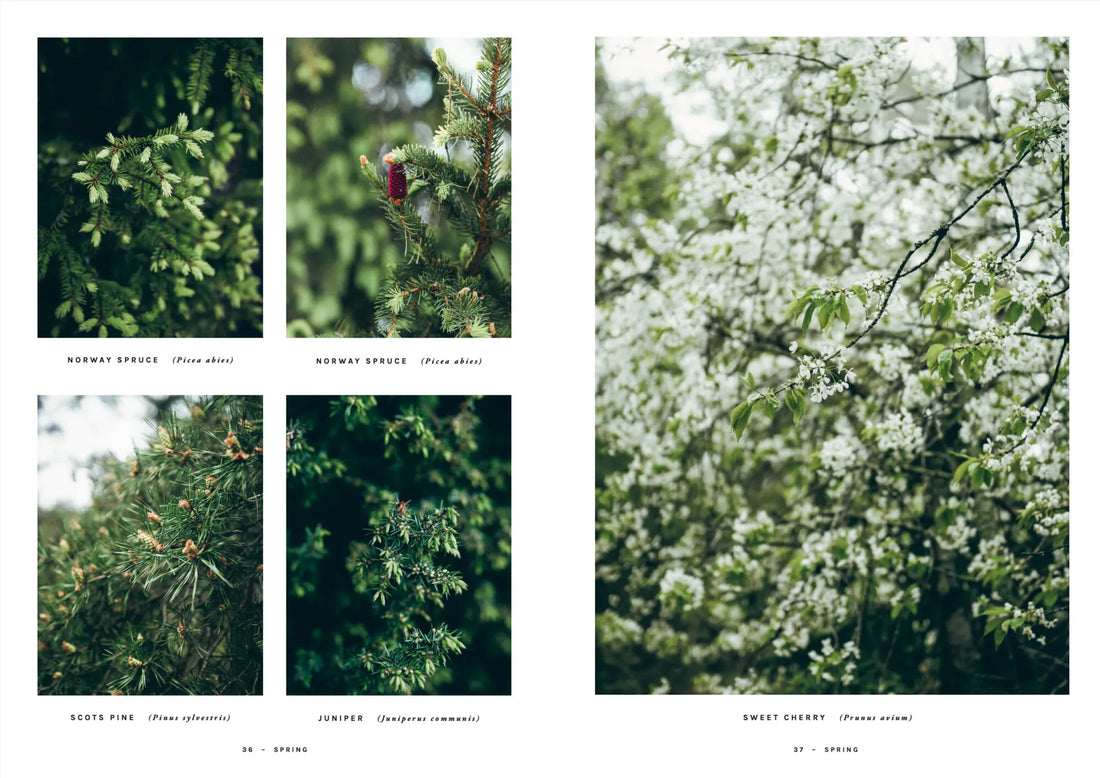 Chef’s Wild Nordic – Recipes for 72 Micro-Seasons
