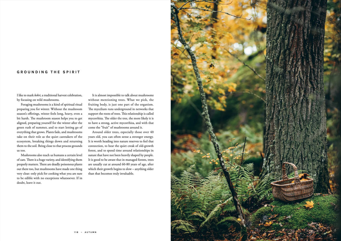 Chef’s Wild Nordic – Recipes for 72 Micro-Seasons