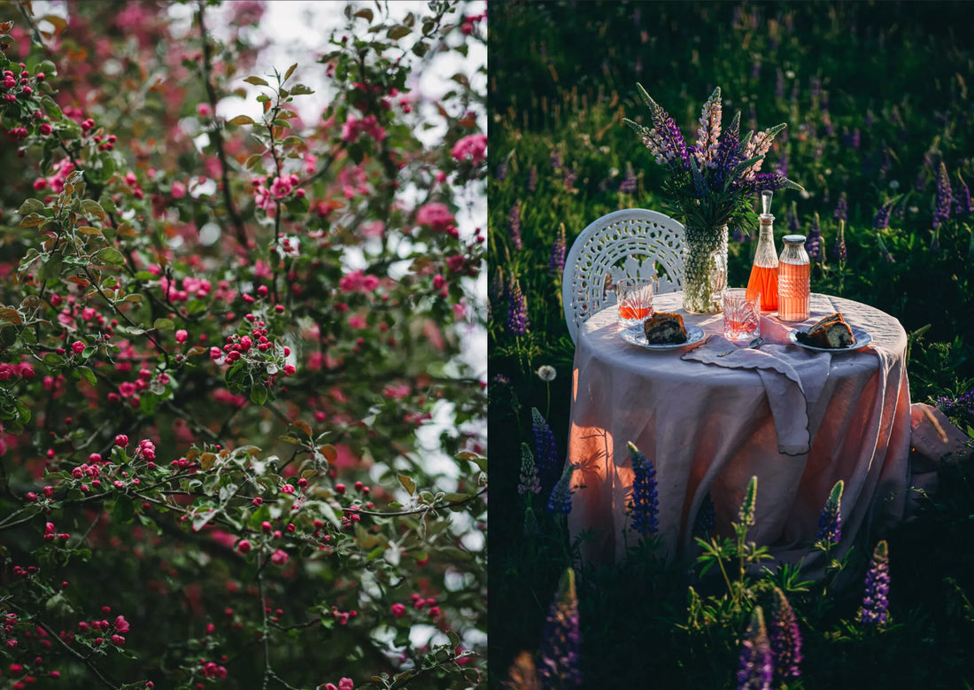 Nordic Summer Cookbook