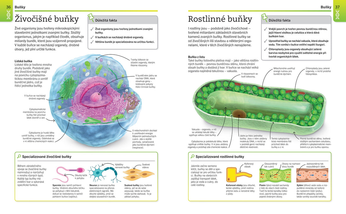 Supersnadná biologie