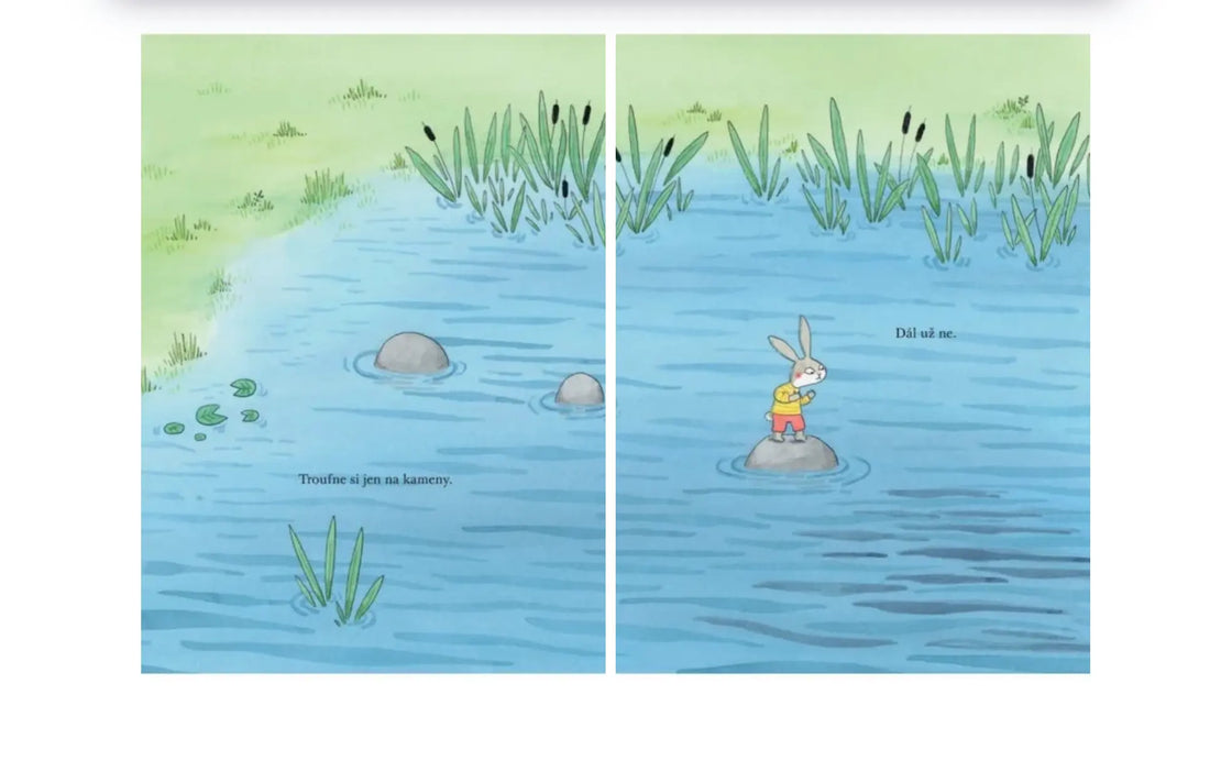 Hop a tajemství jezera - Marianne Dubuc