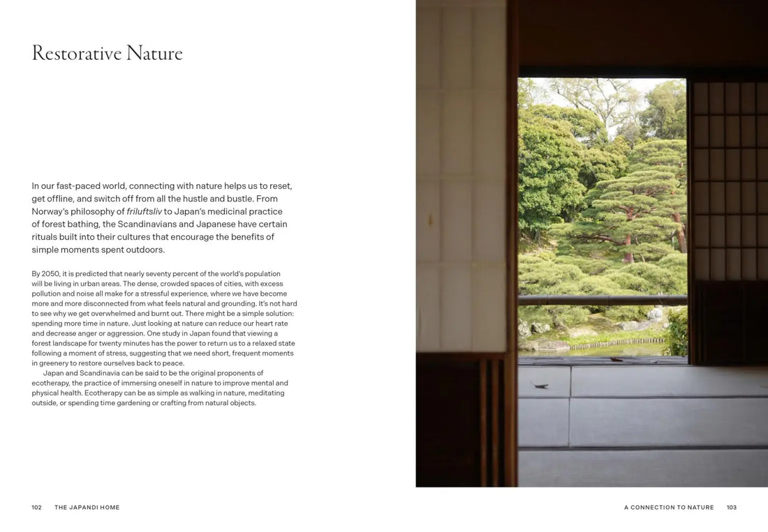 Japandi Home: Nordic Minimalism Meets Japanese Zen