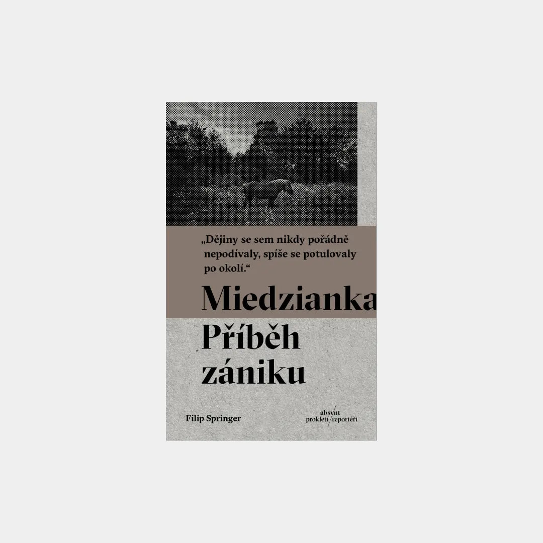 Miedzianka Obálka knihy Book Therapy