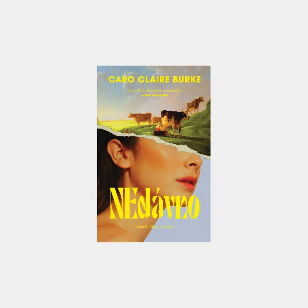 NEdávno - Caro Claire Burke Obálka knihy Book Therapy