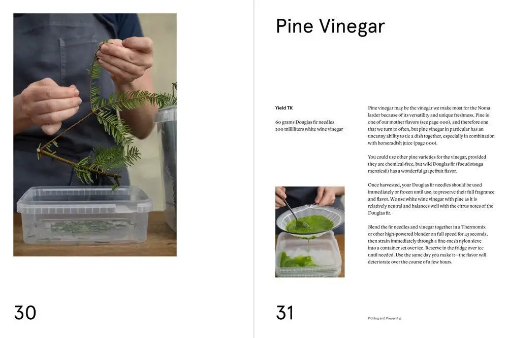 NOMA Guide to Building Flavour – Rene Redzepi