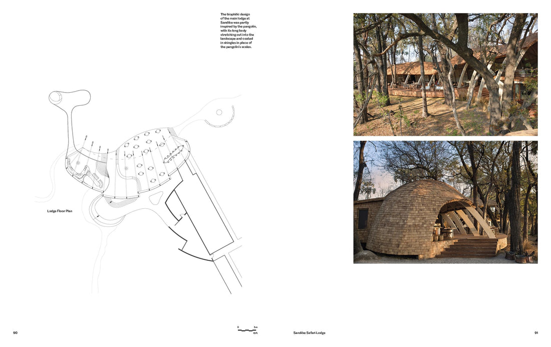 New Natural Living: Michaelis Boyd Architects