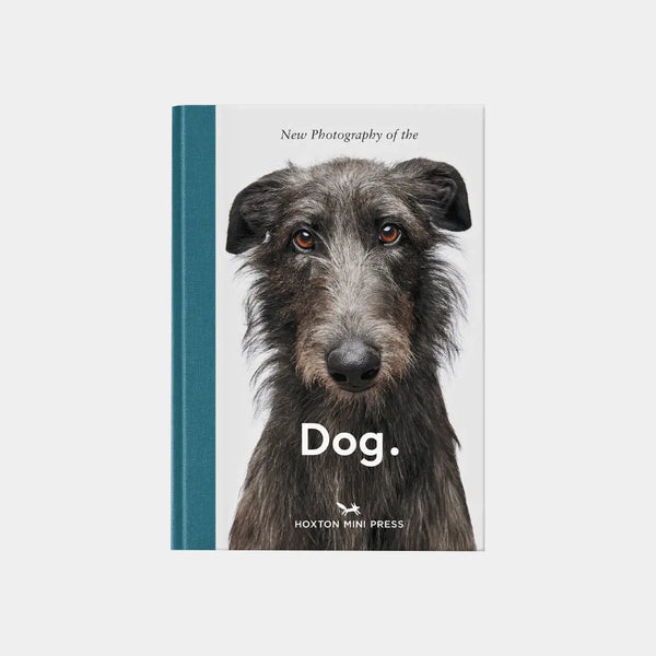 New Photography of the Dog. Obálka knihy Book Therapy