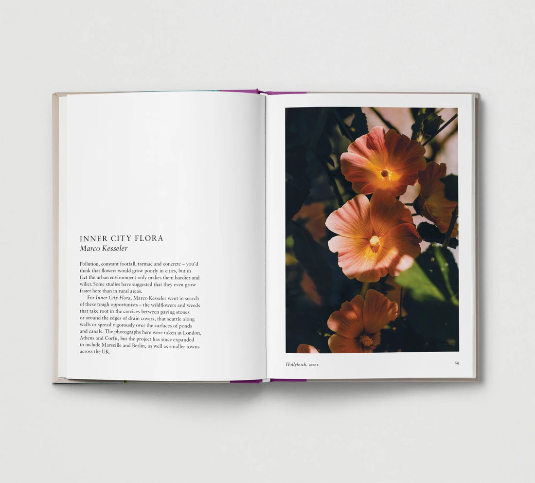 New Photography of the Flower.