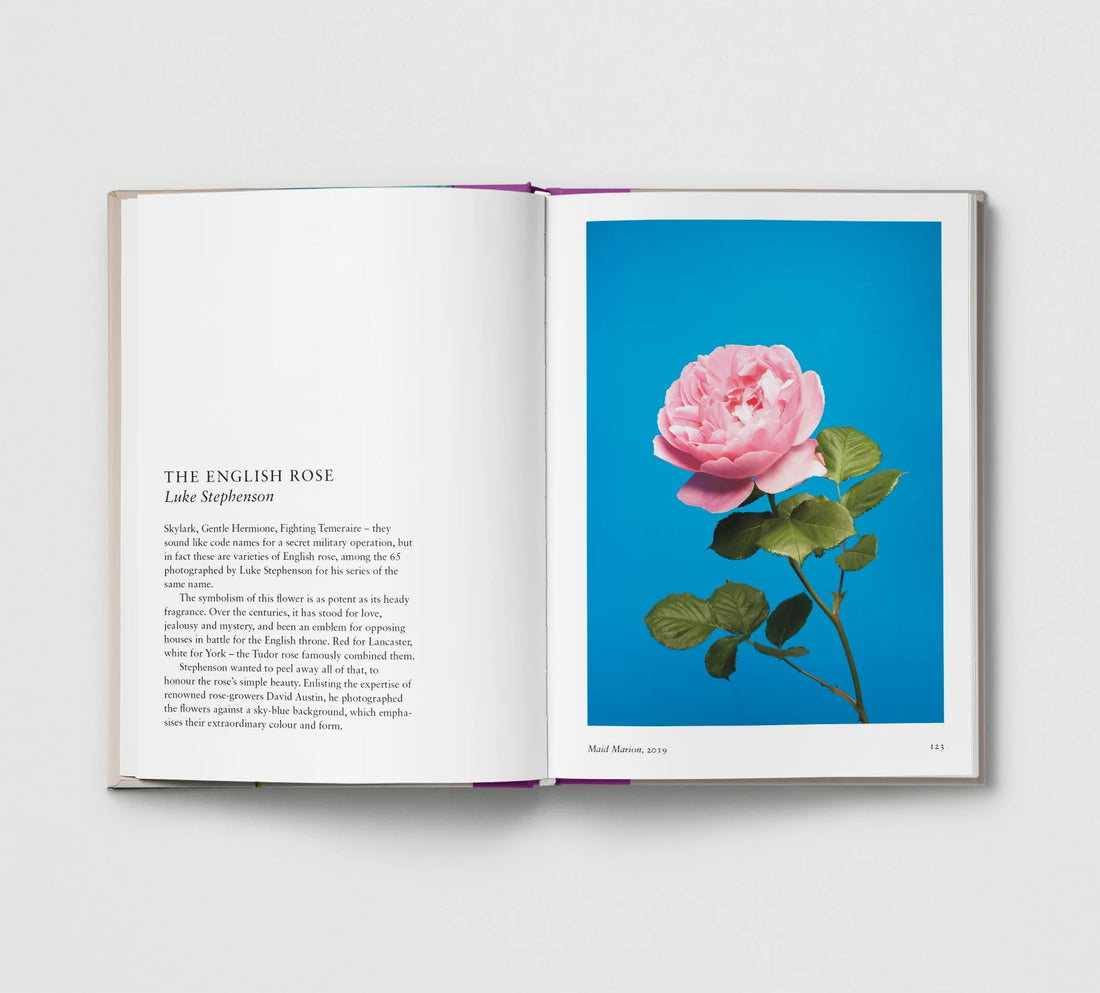 New Photography of the Flower.