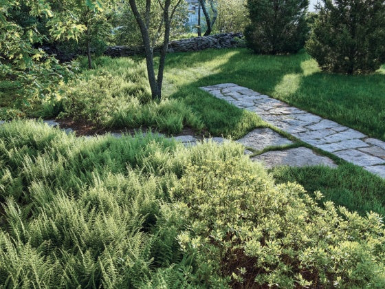 Gardens for Modern Houses