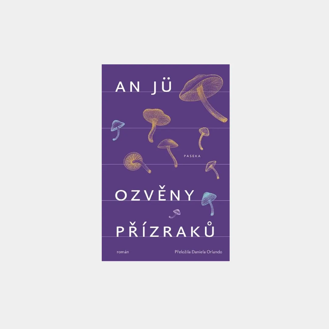 Ozvěny přízraků - An Jü Obálka knihy Book Therapy