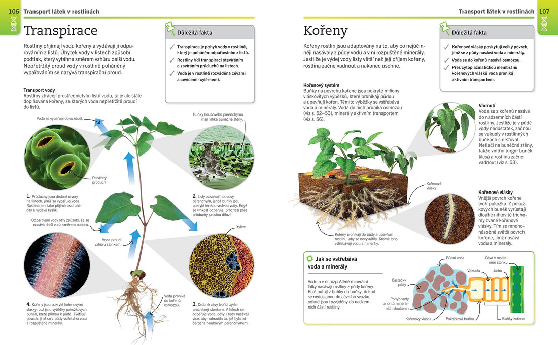 Supersnadná biologie