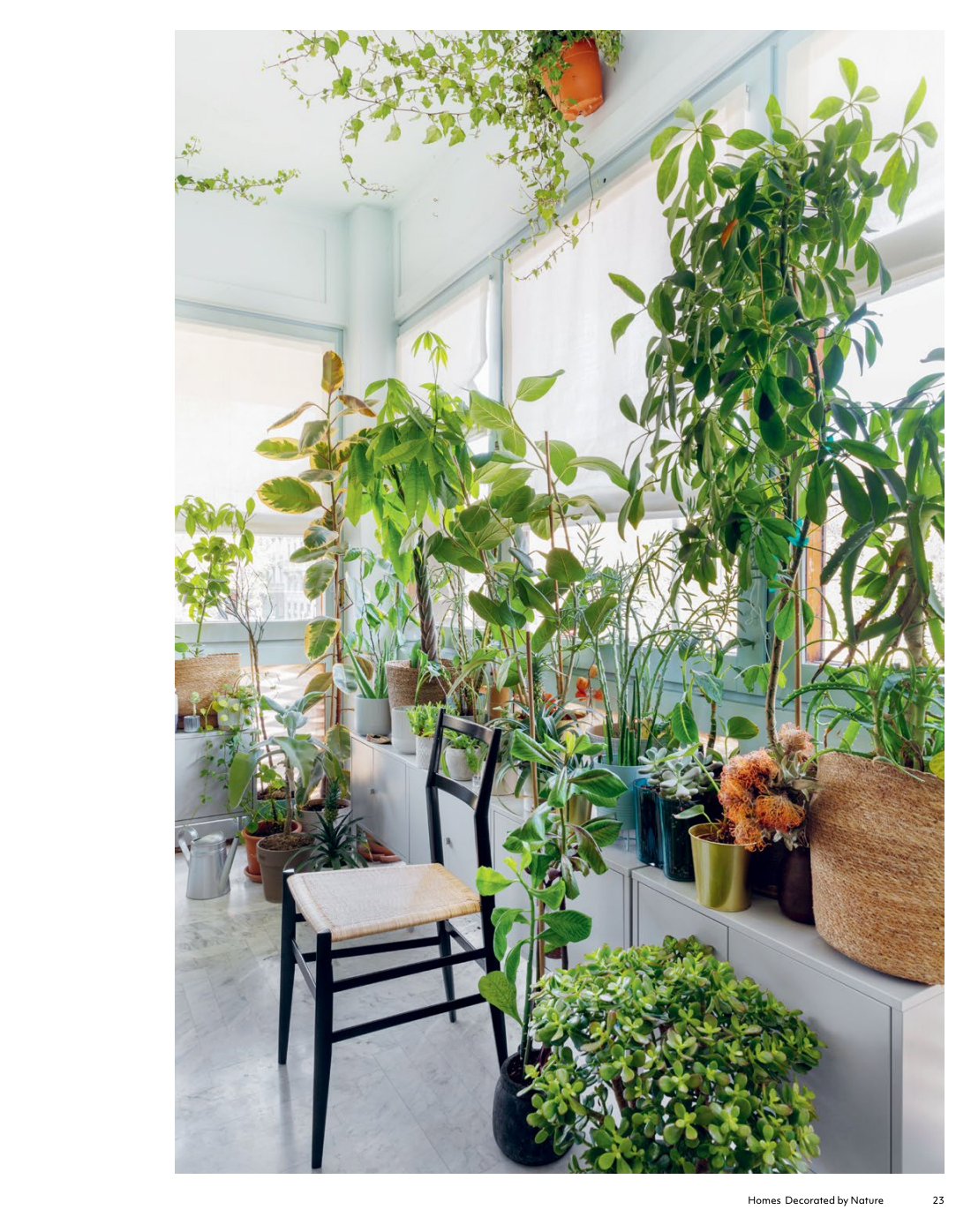 Homes Decorated by Nature