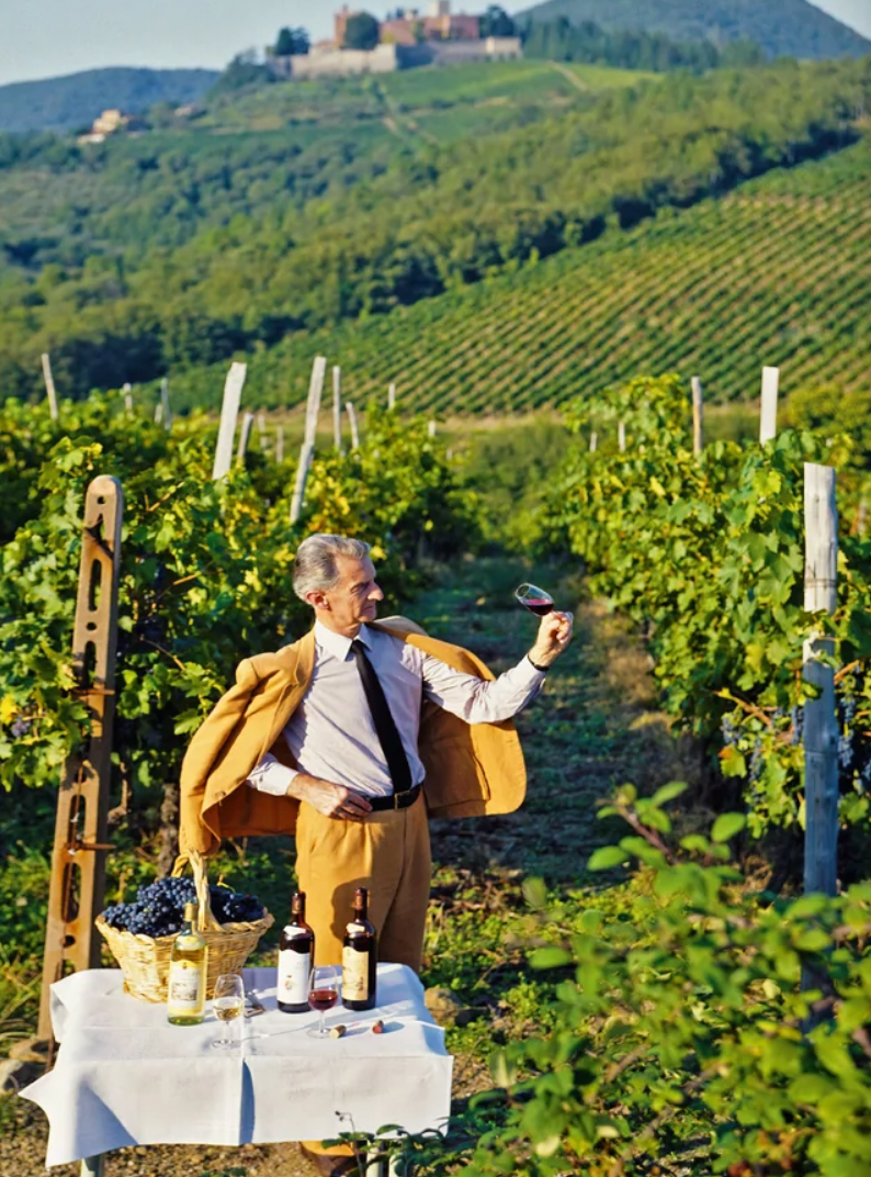 Wine Travel Italy