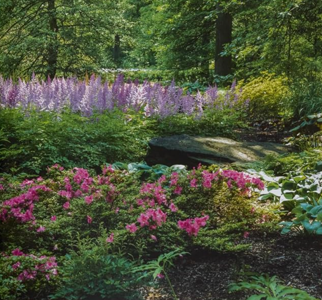 Gardening with Nature at the New York Botanical Garden