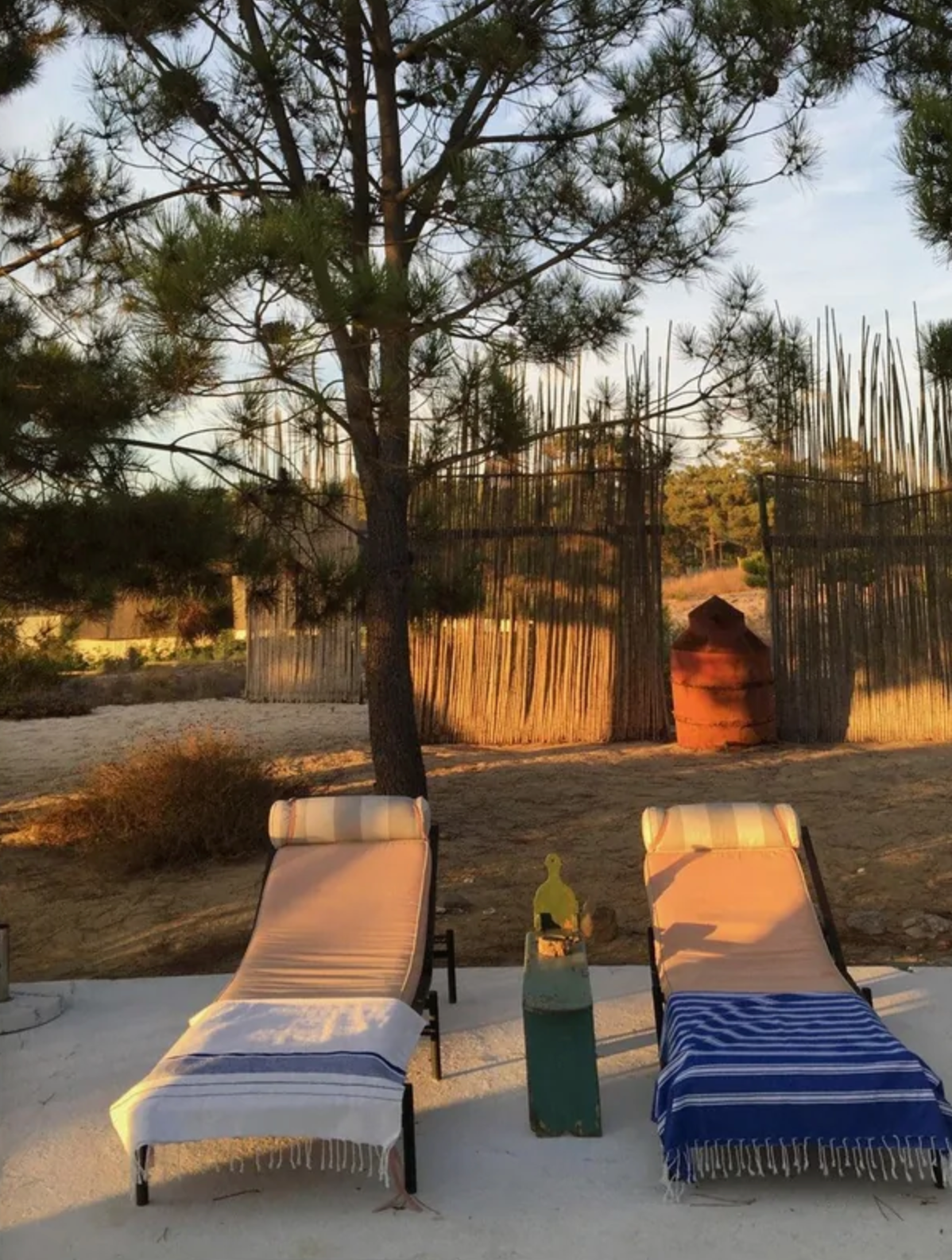 Comporta Bliss