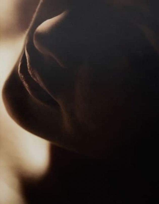 David Lynch: Digital Nudes