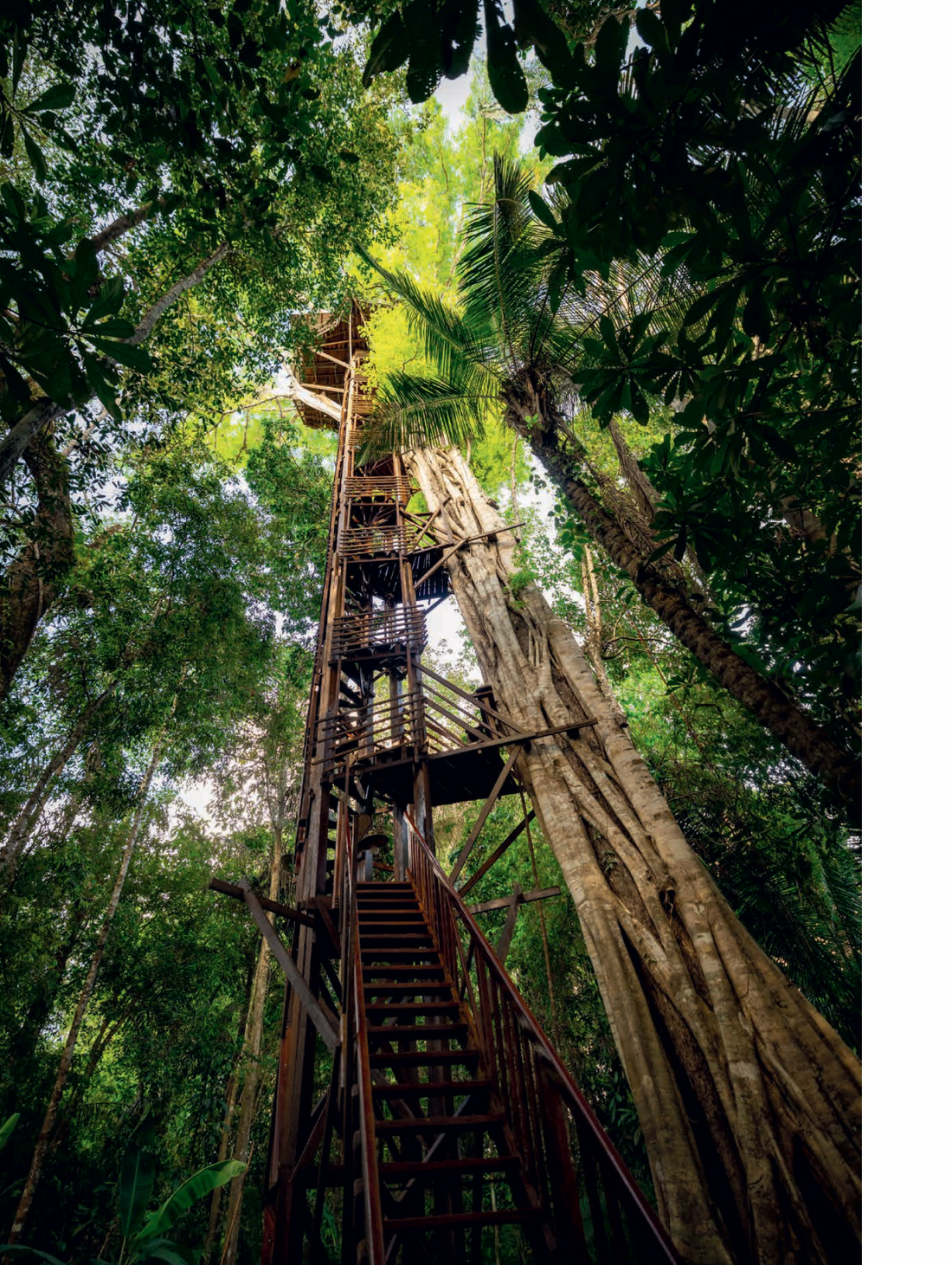 The World’s Best Nature & Design Hotels