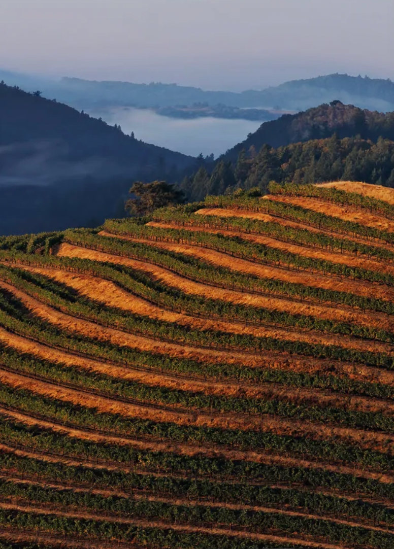 Wine & Travel United States of America