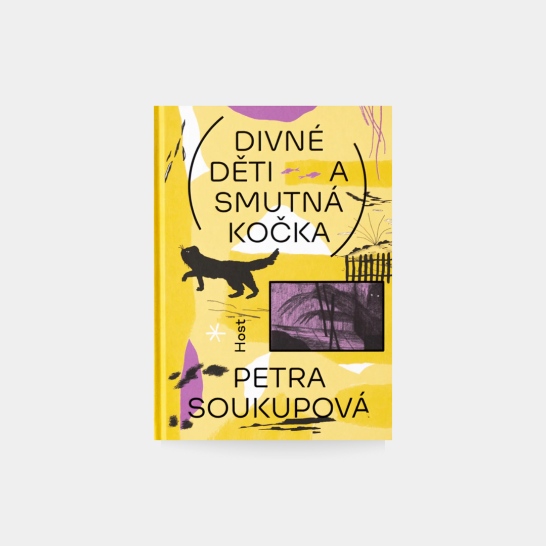 Dziwne dzieci i smutny kot – Petra Soukupová