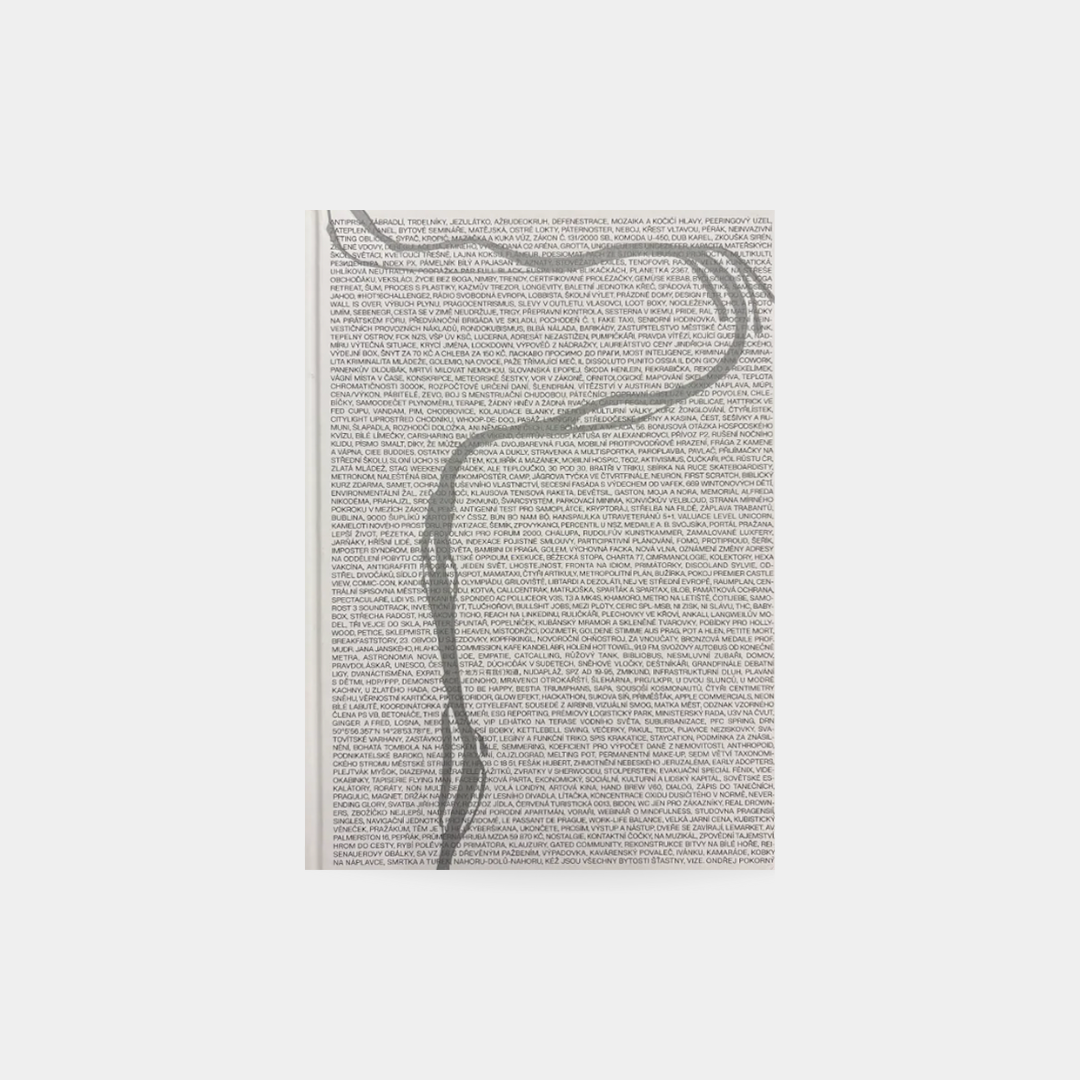 Antiprsa, zábradlí, trdelníky a to všechno okolo - Ondřej Pokorný