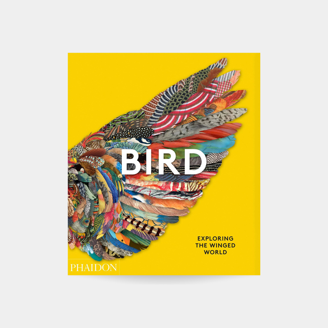 Ptak: Odkrywanie skrzydlatego świata