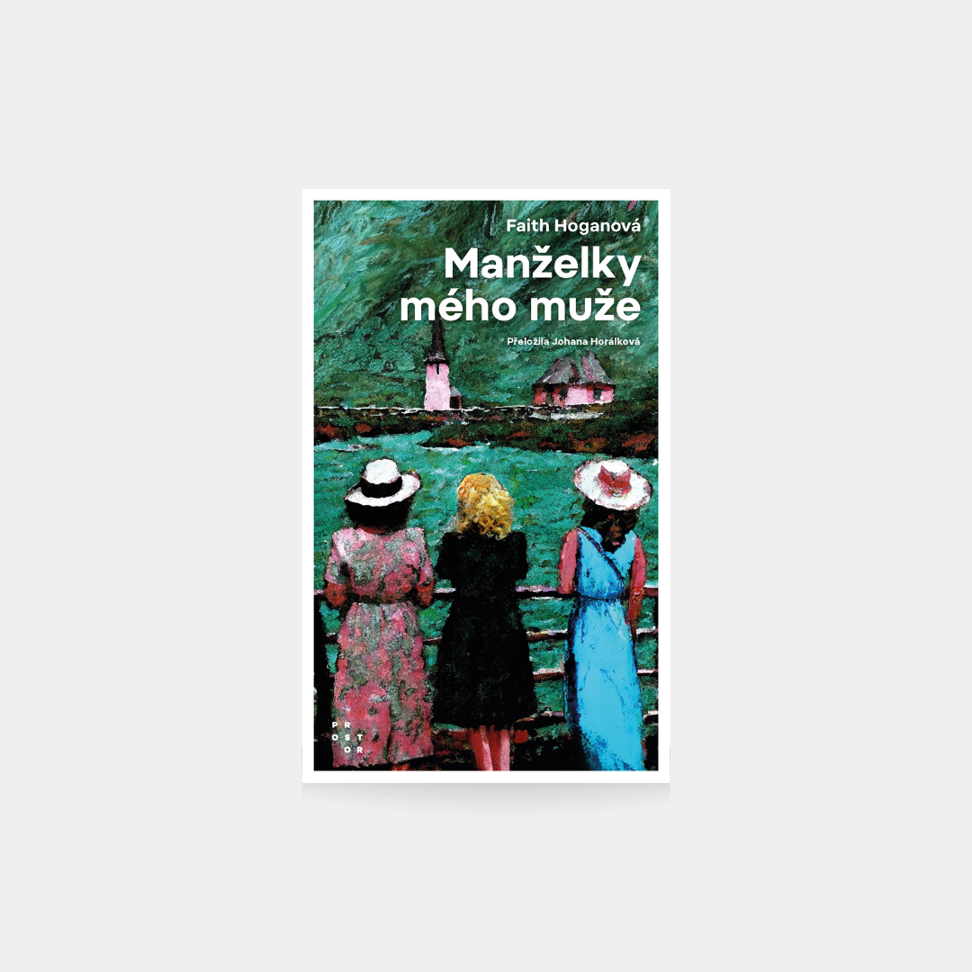 Manželky mého muže - Faith Hogan