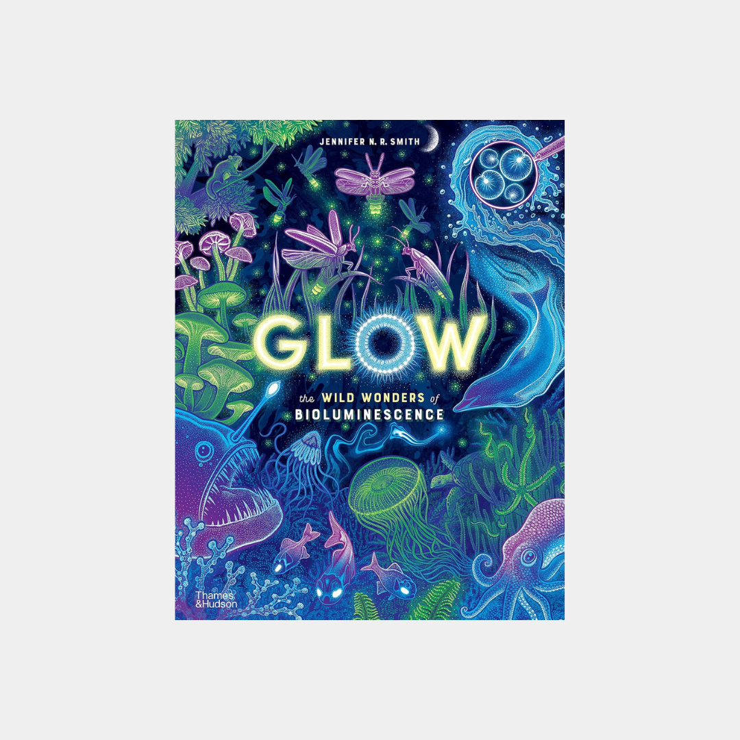 Blask: dzikie cuda bioluminescencji