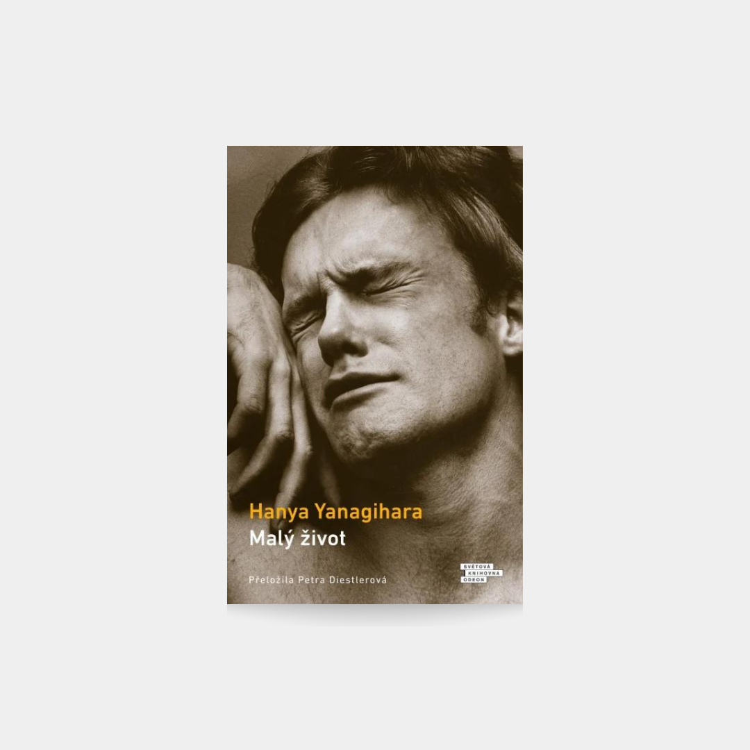 Małe życie – Hanya Yanagihara