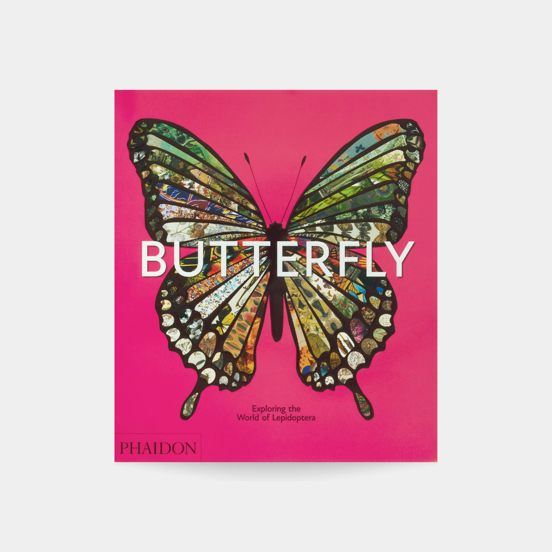 Butterfly: Exploring the World of Lepidoptera